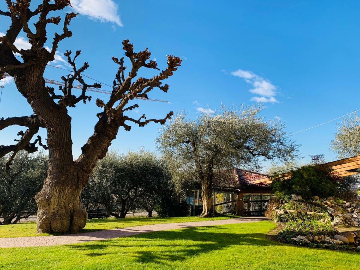 Agriturismo Le Tese Cola  Exterior photo